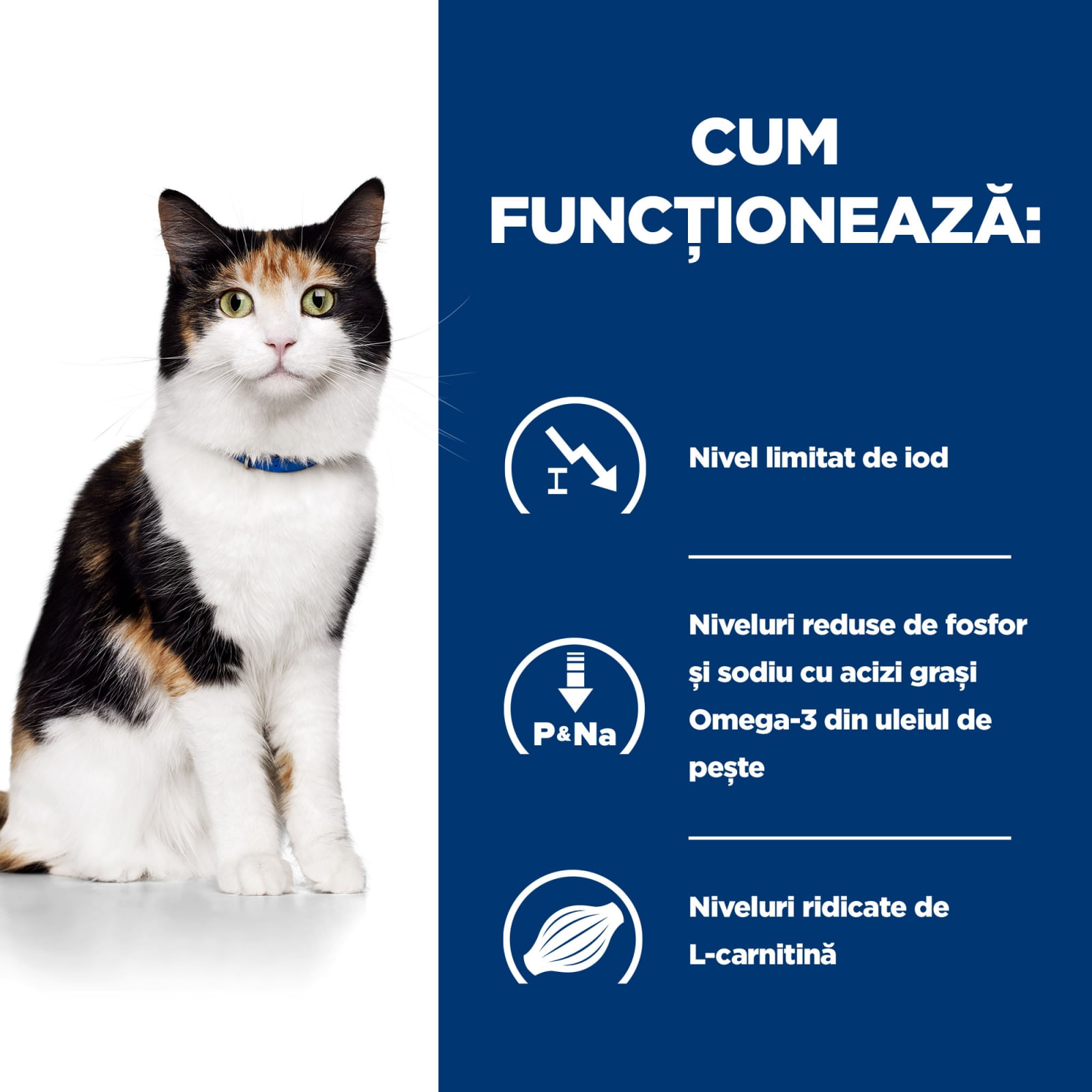 HILL'S Prescription Diet y/d Thyroid Care, dietă veterinară pisici, hrană uscată, afecțiuni tiroidiene HILL'S Prescription Diet y/d Thyroid Care, dietă veterinară pisici, hrană uscată, metabolism ( obezitate si diabet), 1.5kg