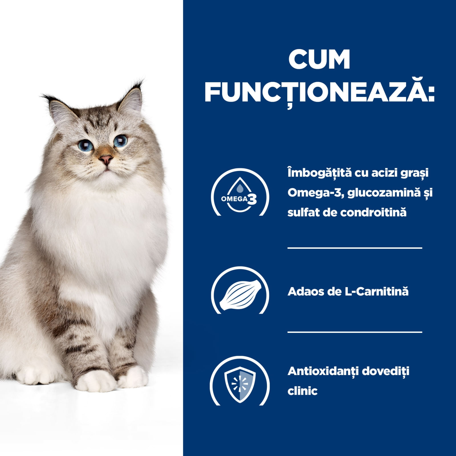 HILL&#039;S Prescription Diet j/d Mobility, Pui, dietă veterinară pisici, hrană uscată, sistem articular, 1.5kg