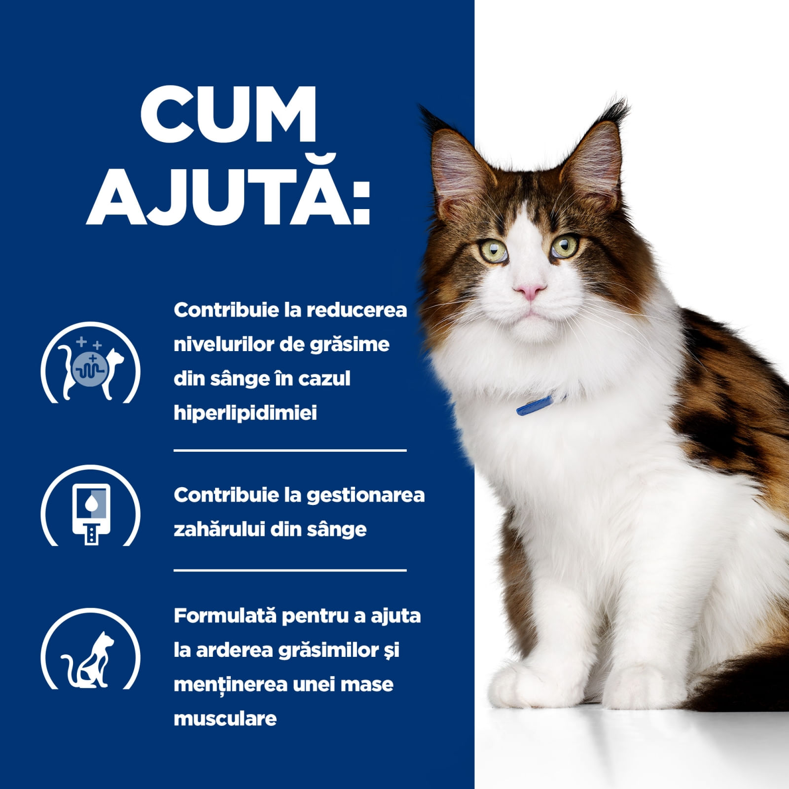 HILL&#039;S Prescription Diet w/d Multi-Benefit, Pui, dietă veterinară pisici, conservă hrană umedă, metabolism (obezitate si diabet), 156g
