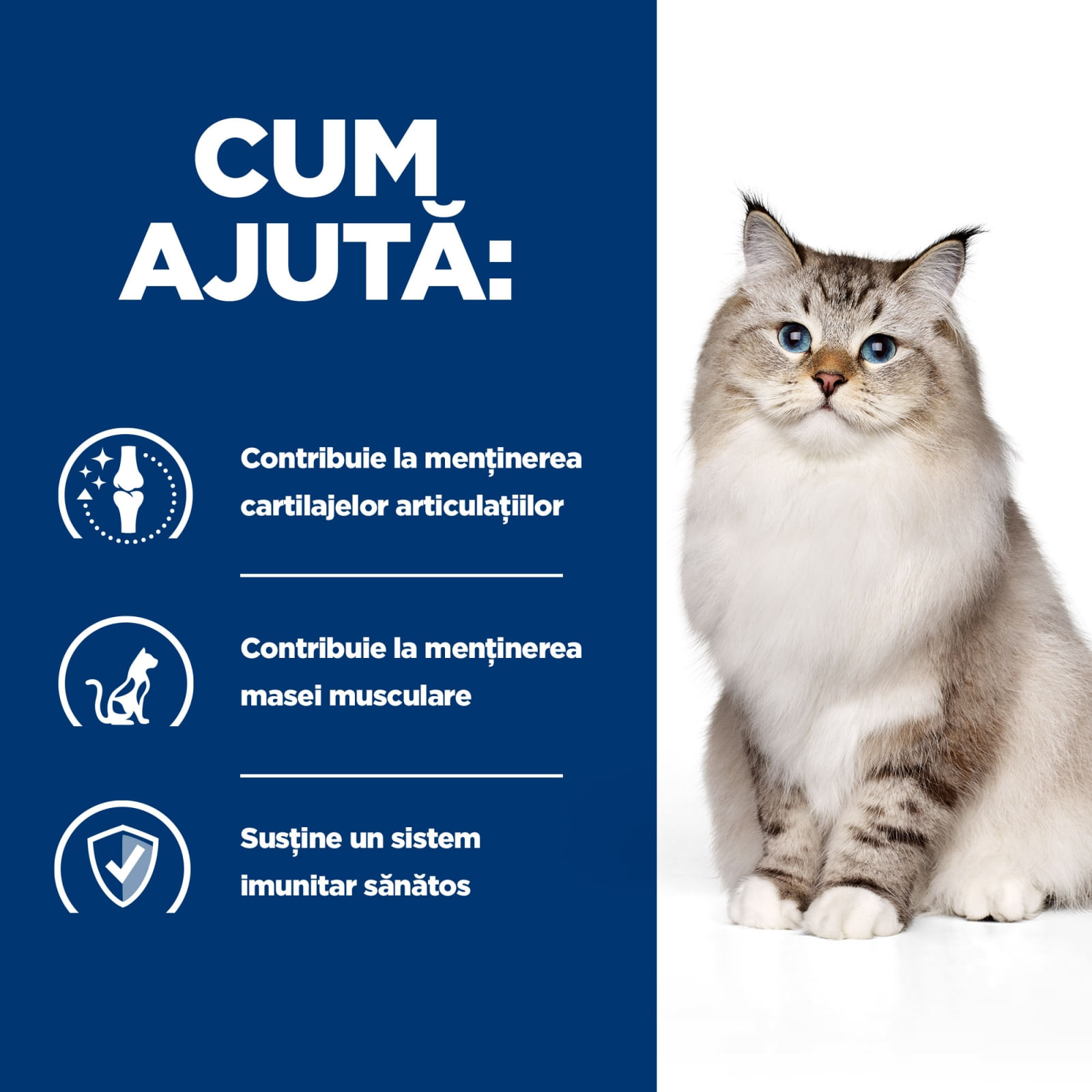 HILL&#039;S Prescription Diet j/d Mobility, Pui, dietă veterinară pisici, hrană uscată, sistem articular, 1.5kg