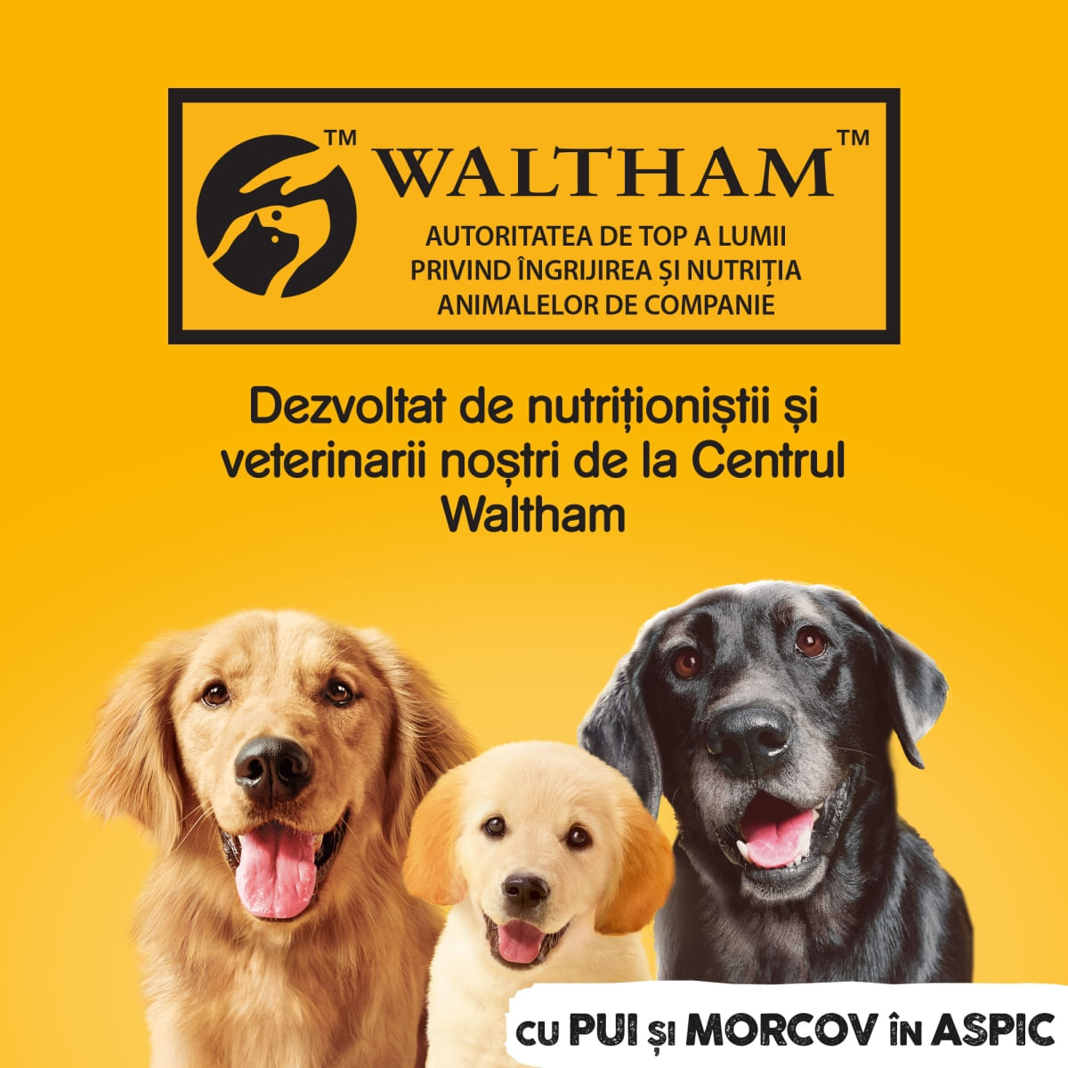 PEDIGREE, XS-XL, Pui și Morcov, conservă hrană umedă câini, (în aspic), 1200g