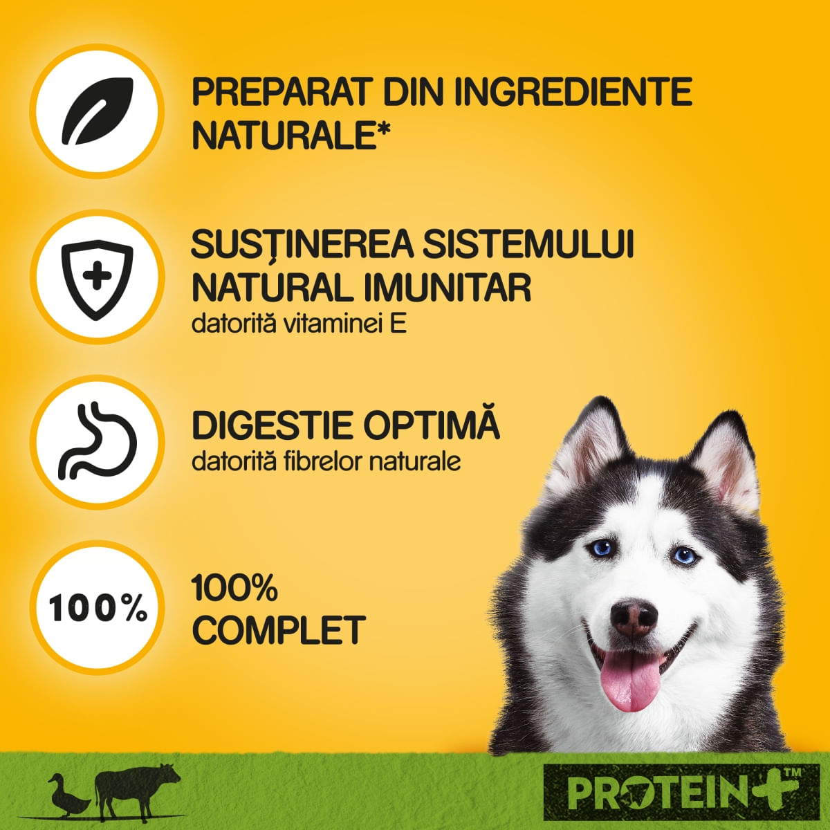 PEDIGREE, XS-XL, Rață și Vită, conservă hrană umedă câini, (în aspic), 800g - 1 | YEO