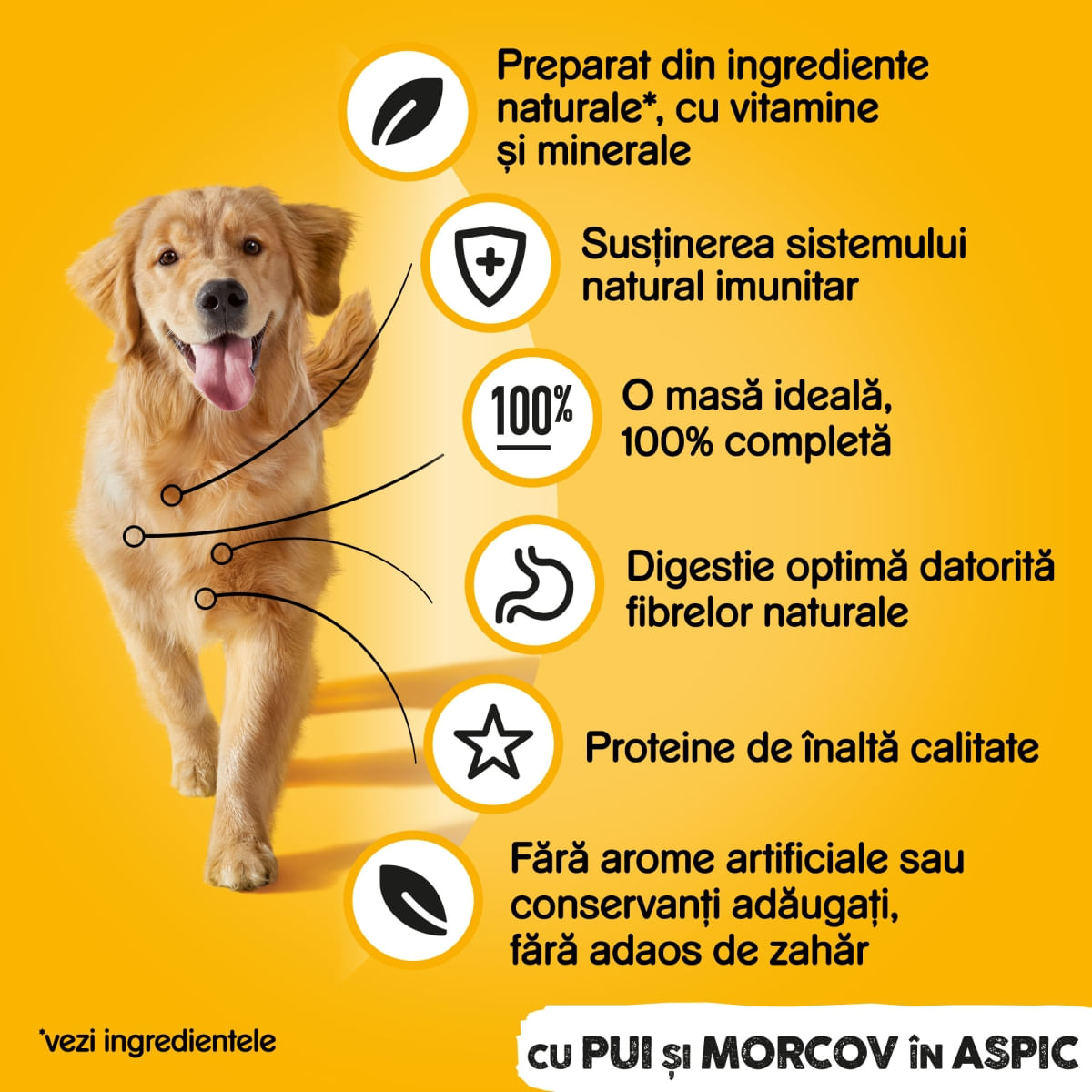 PEDIGREE, XS-XL, Pui și Morcov, conservă hrană umedă câini, (în aspic), 1200g