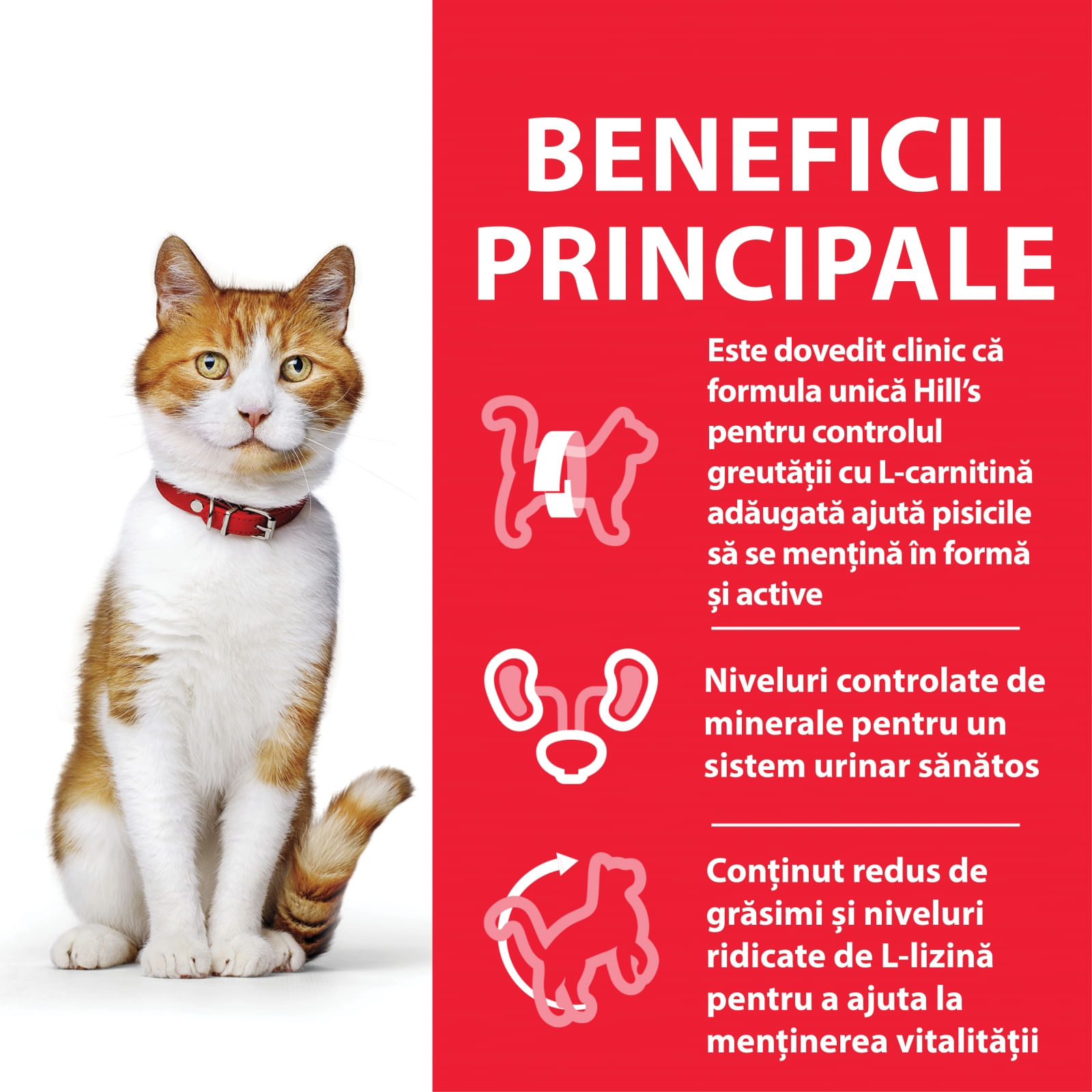 Aceasta este imaginea corespunzatoare acestui obiect