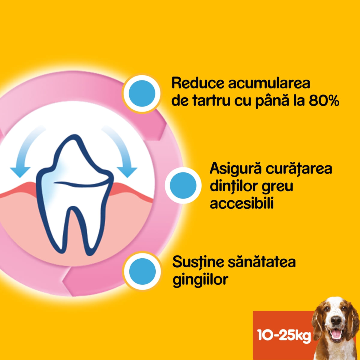 PEDIGREE DentaStix, M, megapack recompense câini, 7buc x 8, 1.44kg