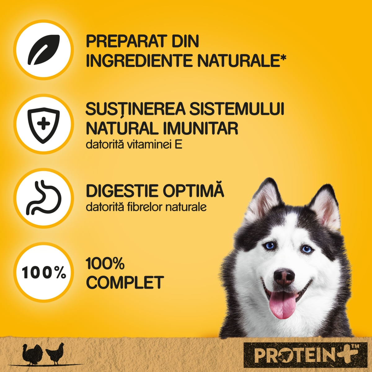 PEDIGREE, XS-XL, Pui și Curcan, conservă hrană umedă câini, (în sos), 800g