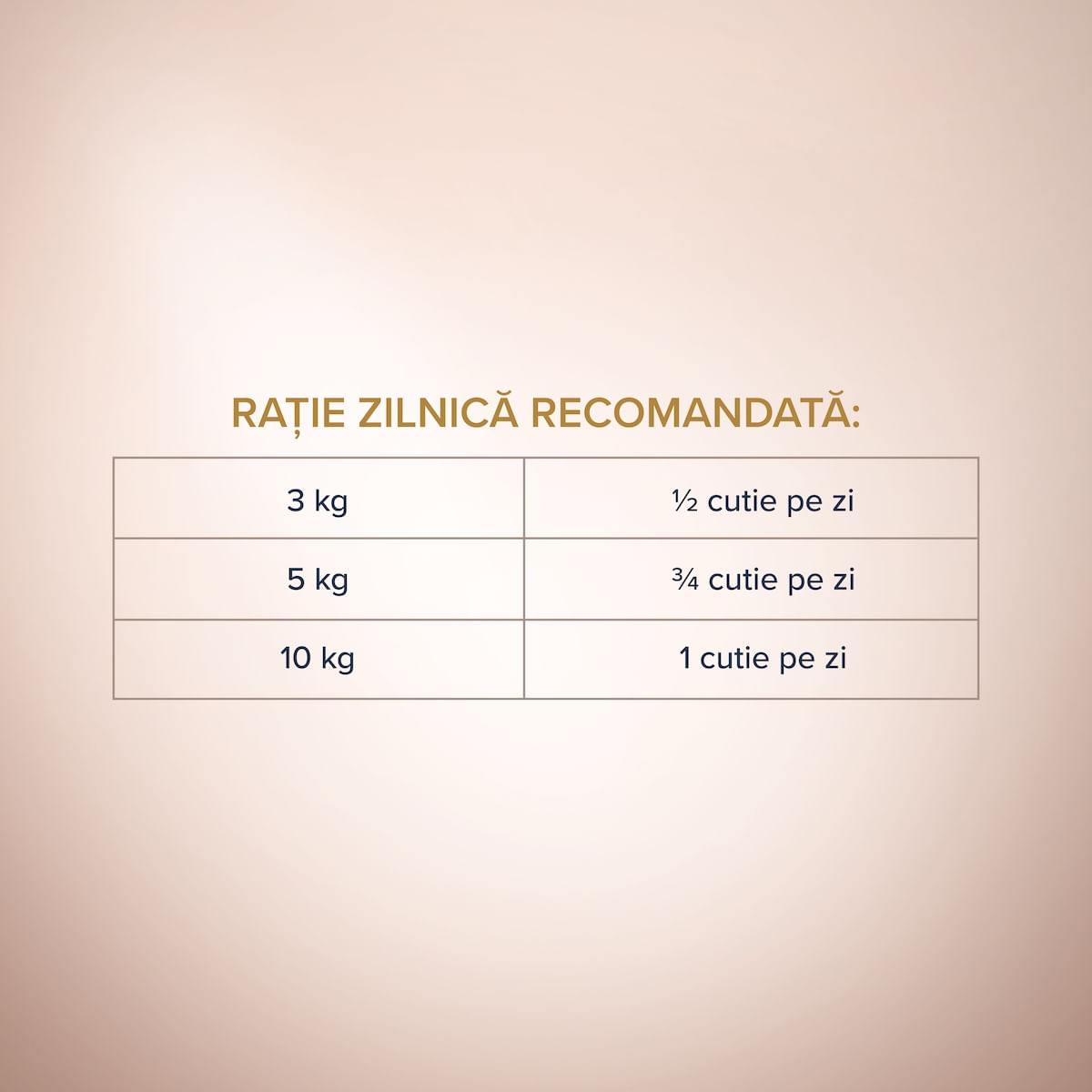 CLUB 4 PAWS Premium , Pui și Curcan, conservă hrană umedă câini, (pate), 400g CLUB 4 PAWS Premium , Pui și Curcan, conservă hrană umedă câini, (pate), bax, 400g x 12buc - 1 | YEO