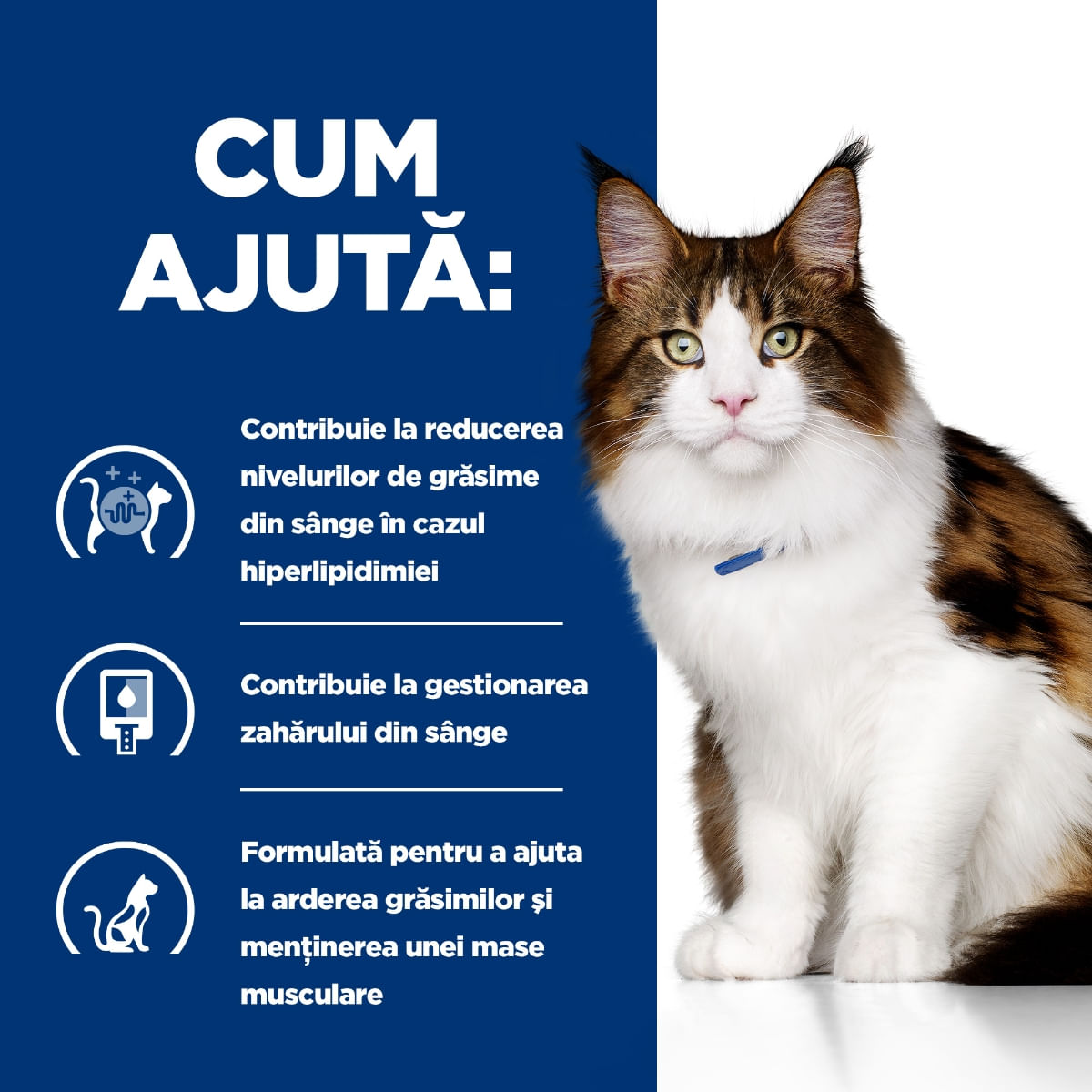 HILL&#039;S Prescription Diet w/d Multi-Benefit, Pui, dietă veterinară, plic hrană umedă pisici, obezitate &amp; diabet, bax, 85g x 12buc