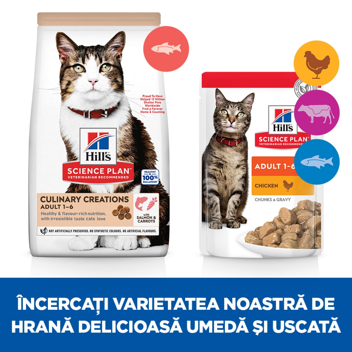 HILL&#039;S Science Plan Culinary Creations, Somon și Morcov, hrană uscată pisici, 10kg