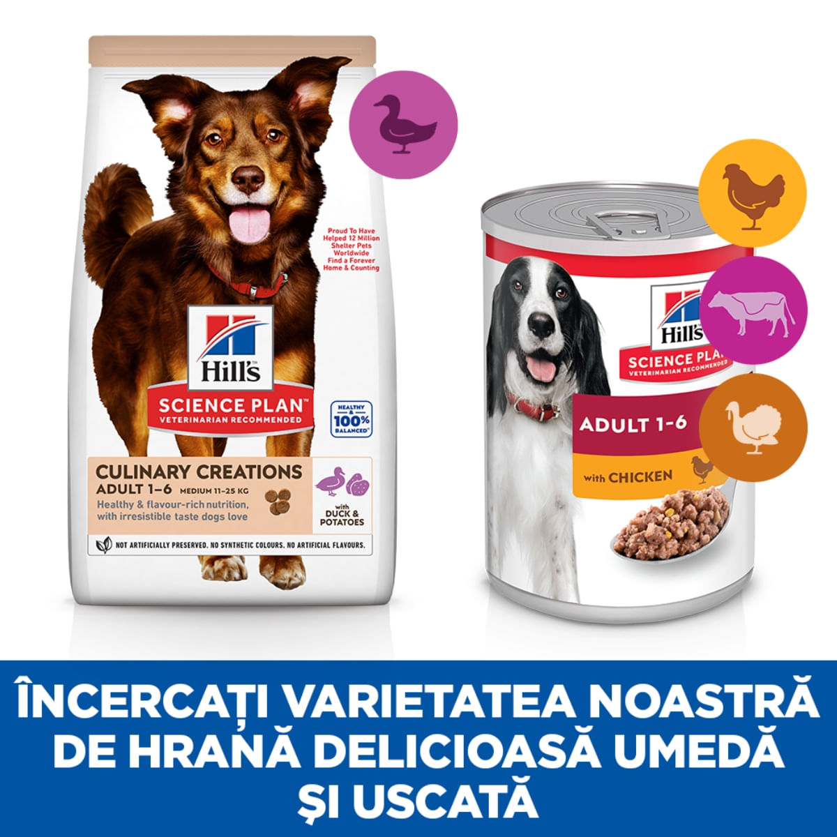 HILL&#039;S Science Plan Culinary Creations, M, Rață și Cartof, hrană uscată câini, 2.5kg