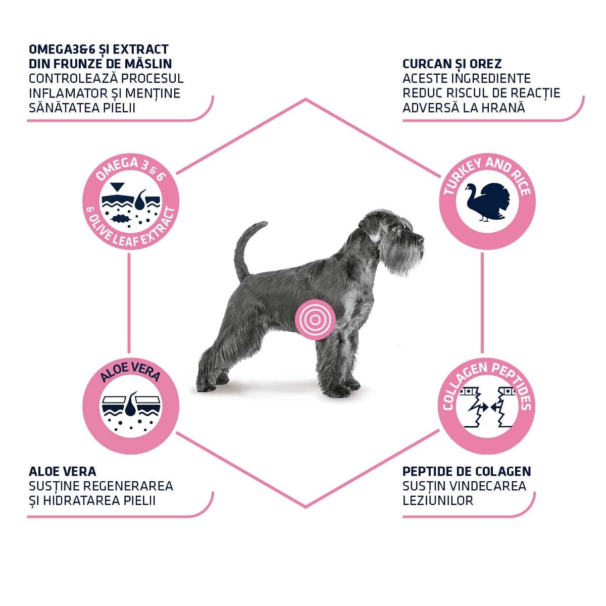 ADVANCE VETERINARY DIETS Atopic Derma Care, XS-XL, Curcan, dietă veterinară,, plic hrană umedă câini, piele &amp; blană, (în aspic), bax, 150g x 8buc