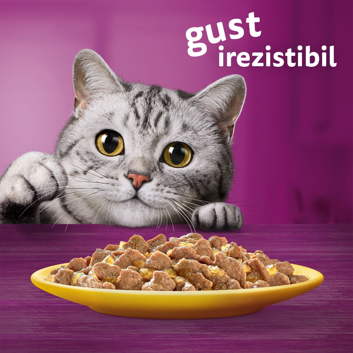 WHISKAS Selectii Pasăre, Pui și Curcan, plic hrană umedă pisici, (în aspic), multipack, 85g x 4