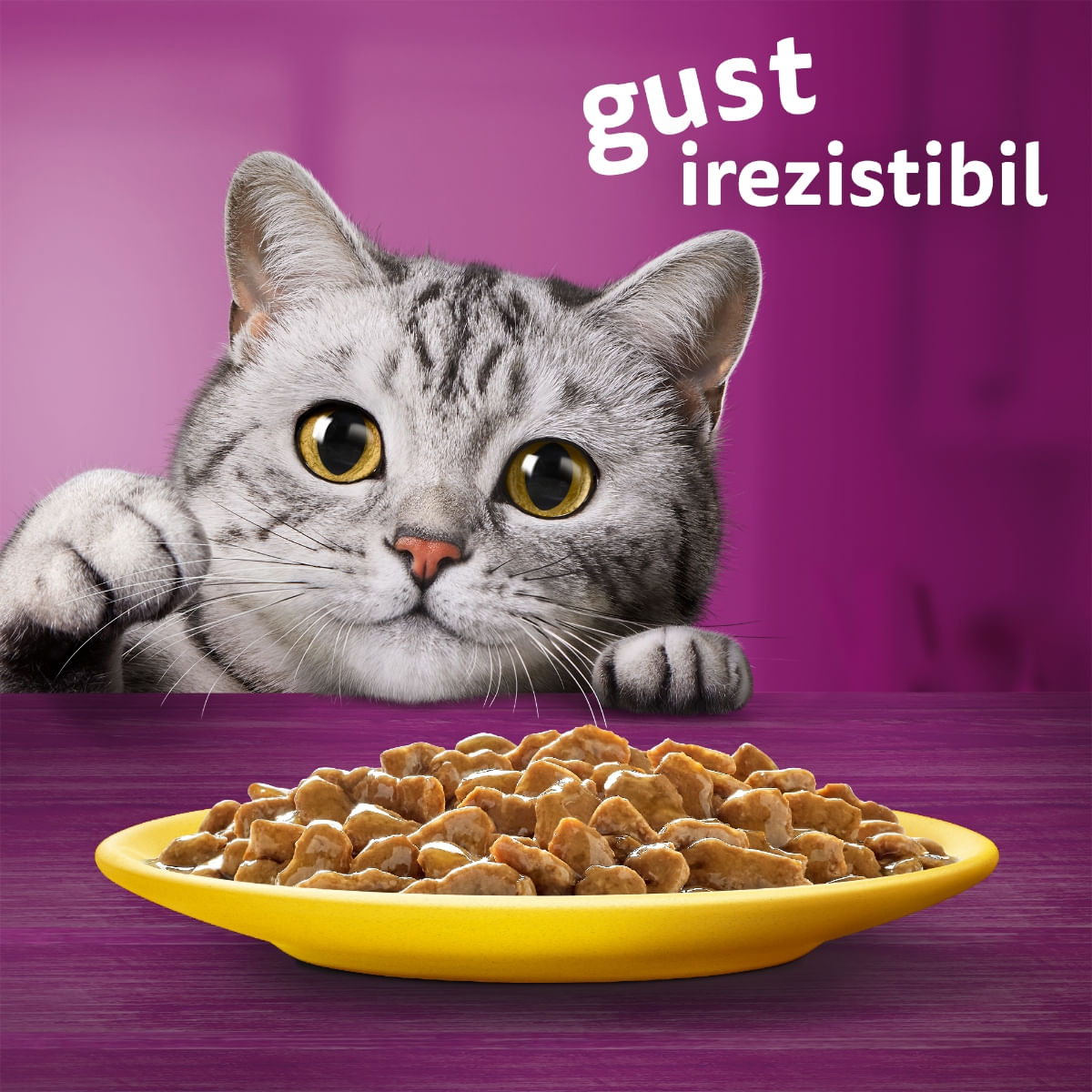 WHISKAS Selectii Pasăre, Pui și Curcan, plic hrană umedă pisici, (în sos), multipack, 85g x 4