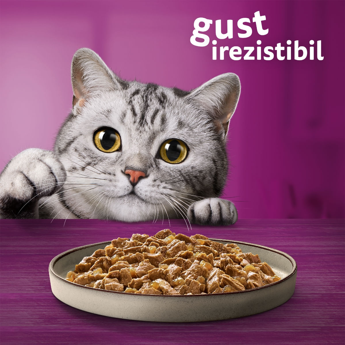 WHISKAS Pure Delight Selectii Pasăre, Pui și Curcan, plic hrană umedă pisici, (în aspic), multipack, 85g x 4