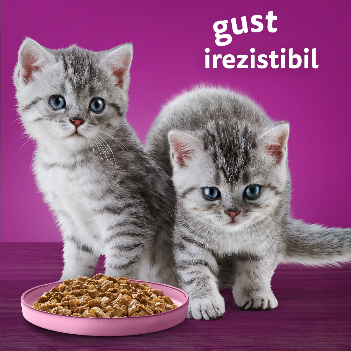 WHISKAS Pure Delight Junior Selectii Pasăre, Pui și Curcan, plic hrană umedă pisici junior, (în aspic), multipack, 85g x 4