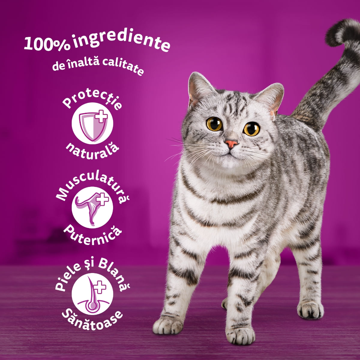 WHISKAS, Pui, plic hrană umedă pisici, (în aspic), 85g