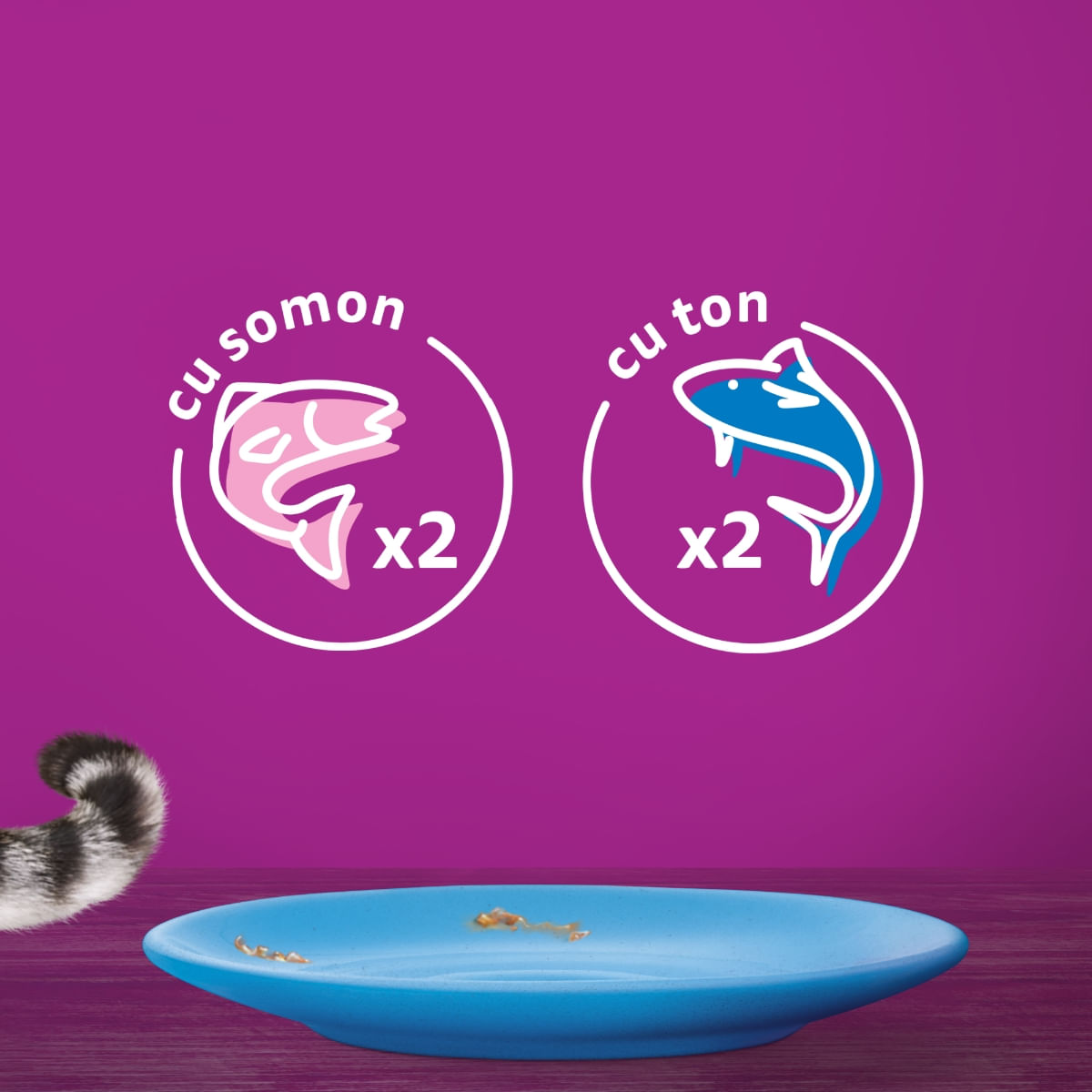 WHISKAS Selectii Pește, Somon și Ton, plic hrană umedă pisici, (în aspic), multipack, 85g x 4