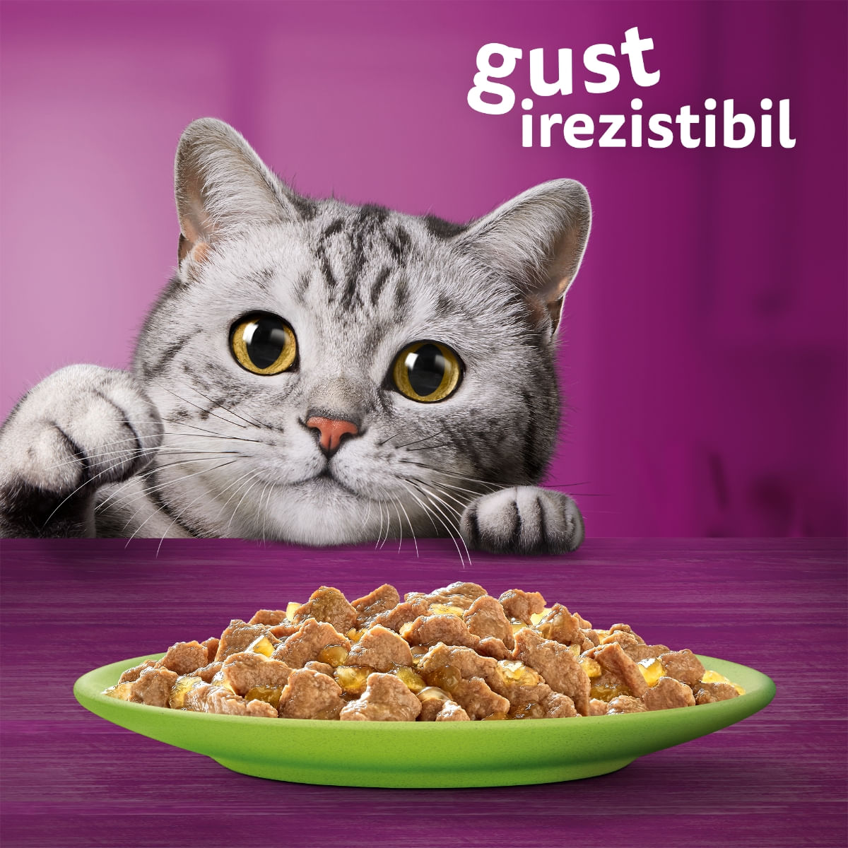 WHISKAS Selectii Mixte, Vită, Pui, Somon și Ton, hrană umedă pisici, (în aspic), multipack WHISKAS Selectii Mixte, Vită, Pui, Somon și Ton, plic hrană umedă pisici, (în aspic), multipack, 85g x 12