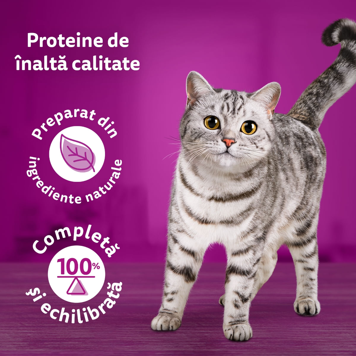 WHISKAS Pure Delight Selectii Clasice, Vită și Pui, plic hrană umedă pisici, (în aspic), multipack, 85g x 4