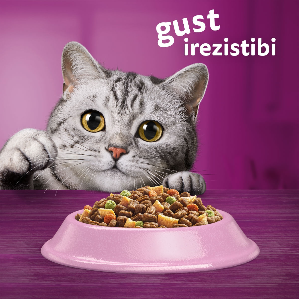 WHISKAS Adult Sterile, Somon, hrană uscată pisici sterilizate, 1.4kg