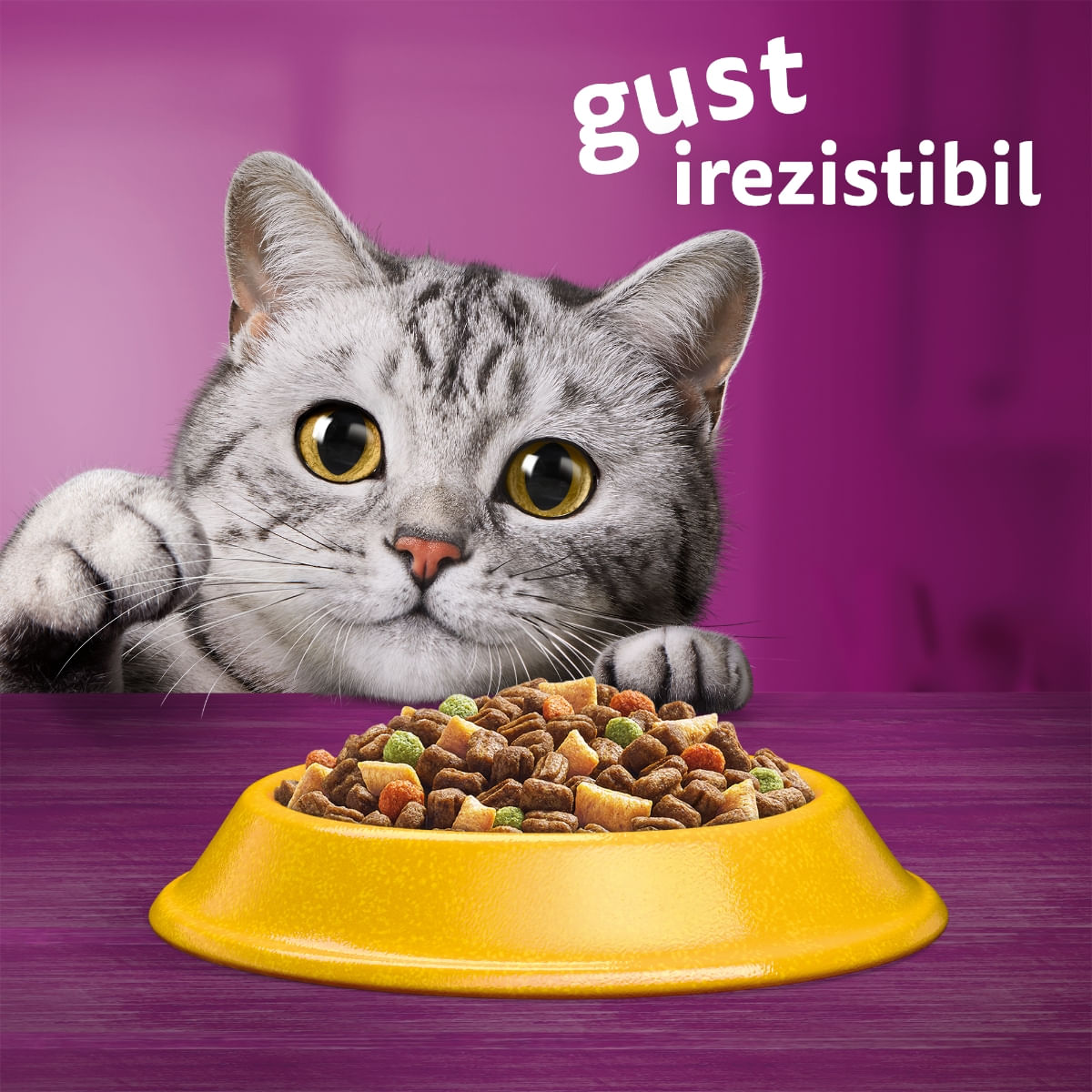 WHISKAS Adult Sterile, Pui, hrană uscată pisici, 800g