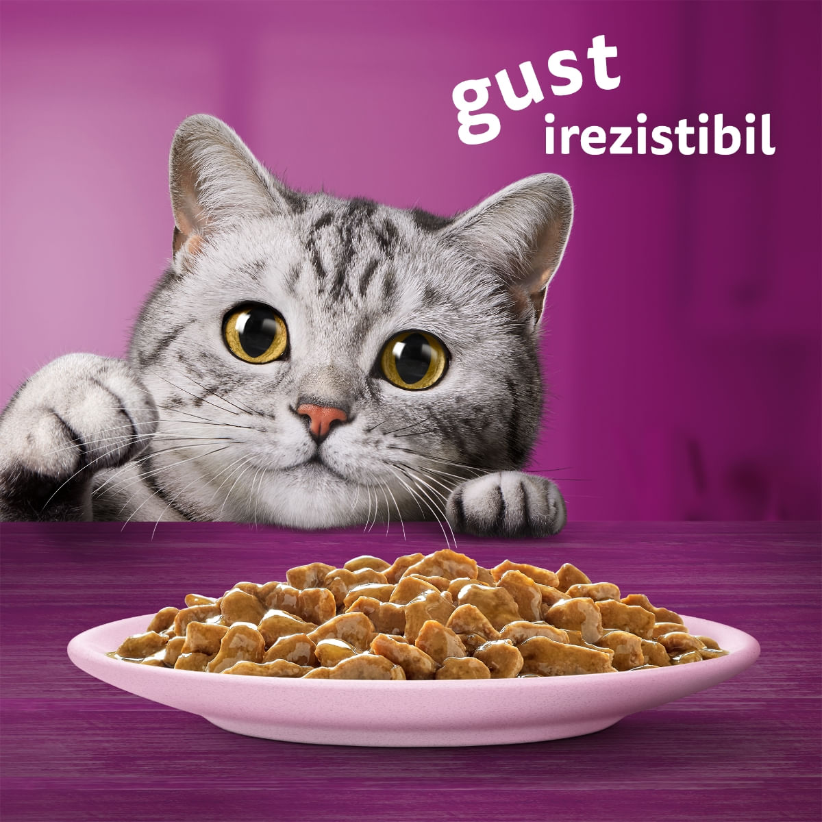 WHISKAS, Somon, plic hrană umedă pisici, (în sos), 85g