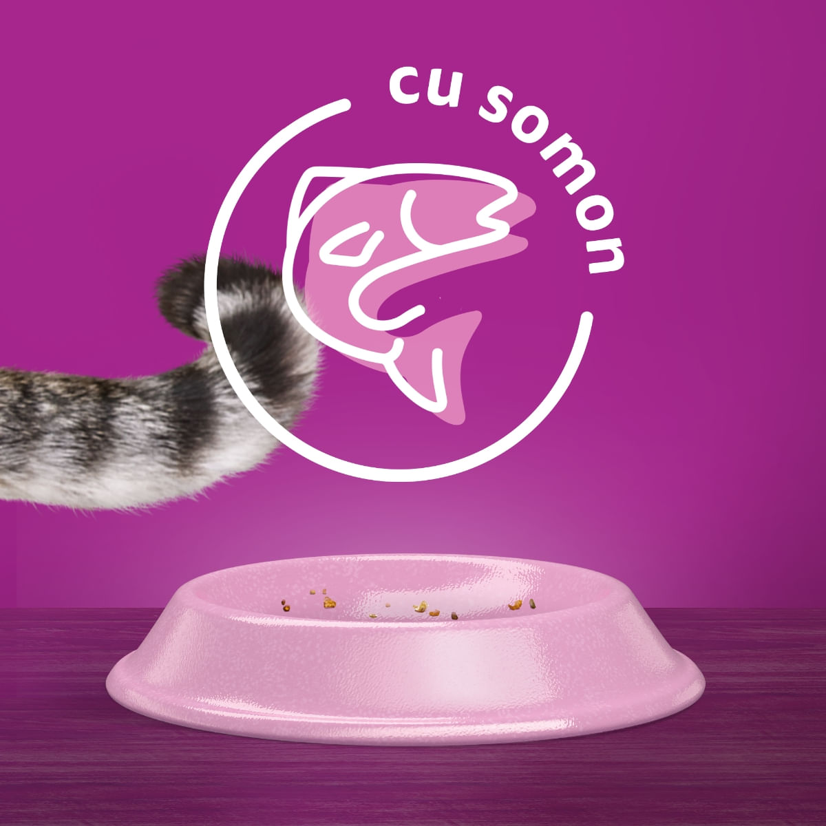 WHISKAS Adult, Somon, hrană uscată pisici, 1.4kg