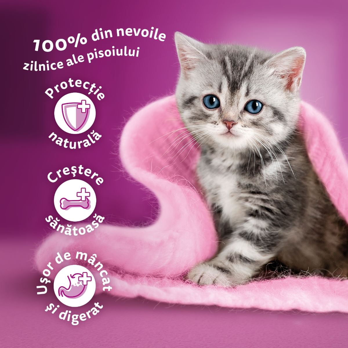 WHISKAS Junior Selectii Clasice, Miel, Vită, Pui și Pasăre, plic hrană umedă pisici, (în sos), multipack, 85g x 12