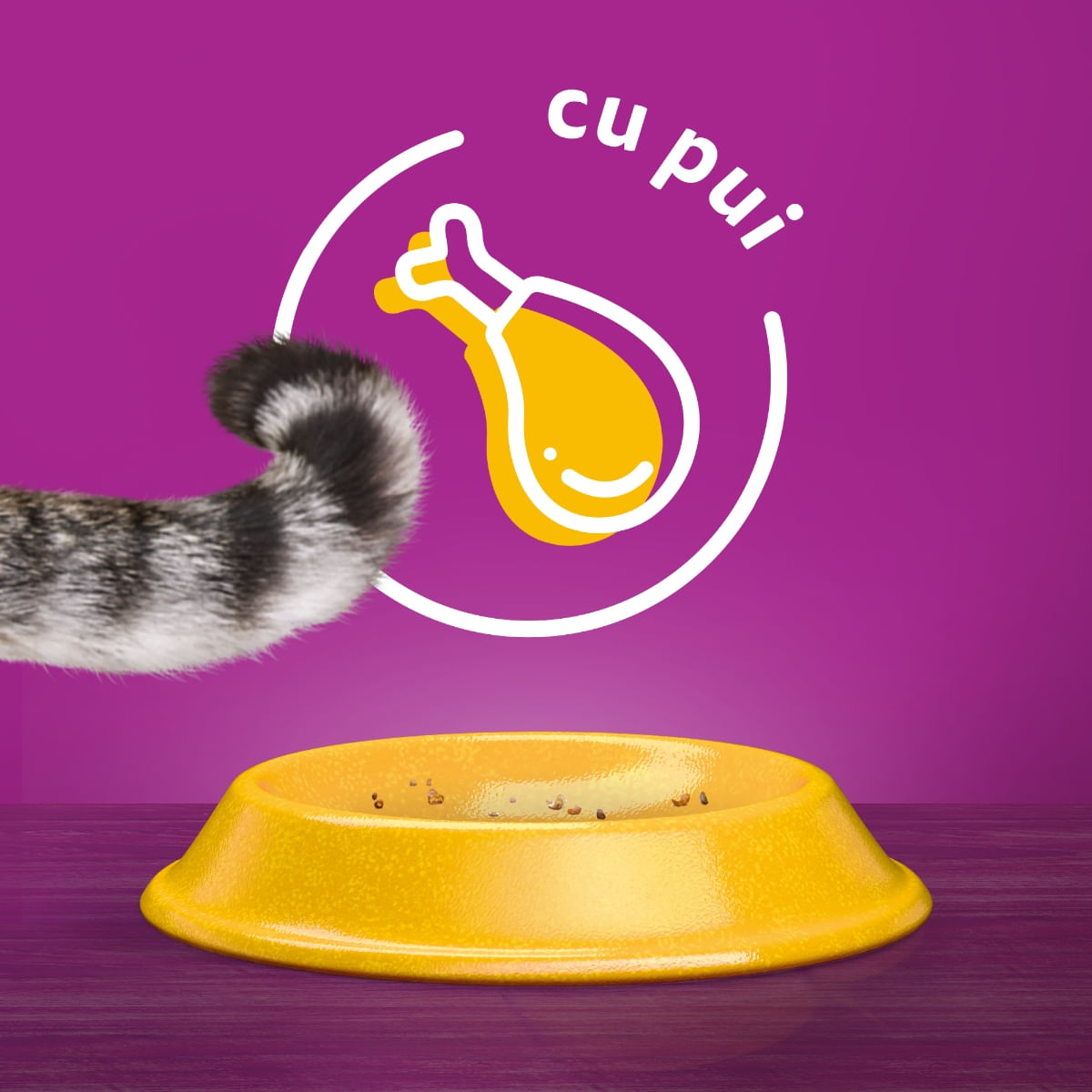 WHISKAS Adult Sterile, Pui, hrană uscată pisici, 800g
