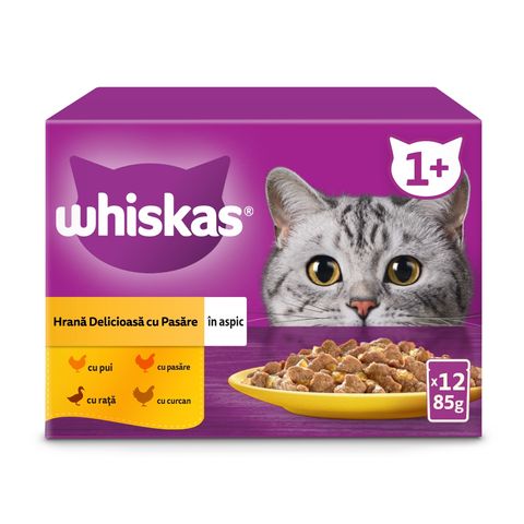 WHISKAS 1+ Poultry Feasts Selectii, Pasăre, plic hrană umedă pisici, (în aspic), multipack, 85g x 12