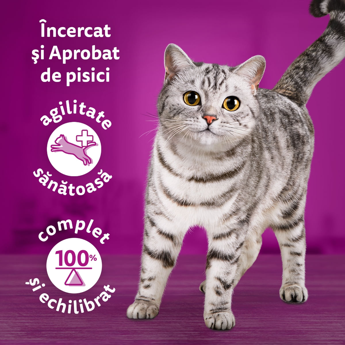 WHISKAS Tasty Mix Chef&#039;s Choice, Somon, Vită, Pui și Pasăre, Pui și Curcan, Pui și Cod, plic hrană umedă pisici, (în sos), multipack, 85g x 12