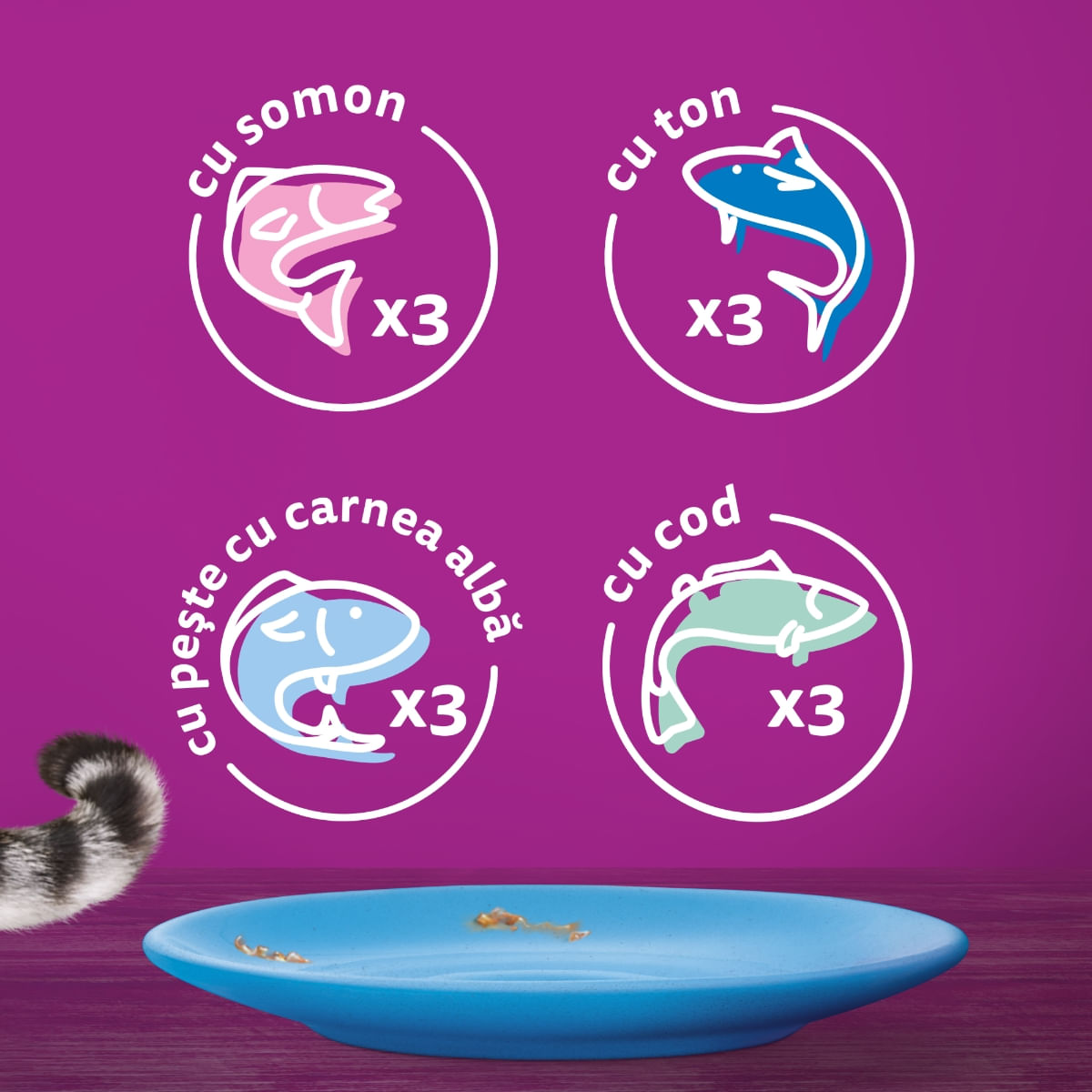 WHISKAS Selectii, Pește, plic hrană umedă pisici, (în aspic), multipack, 85g x 12