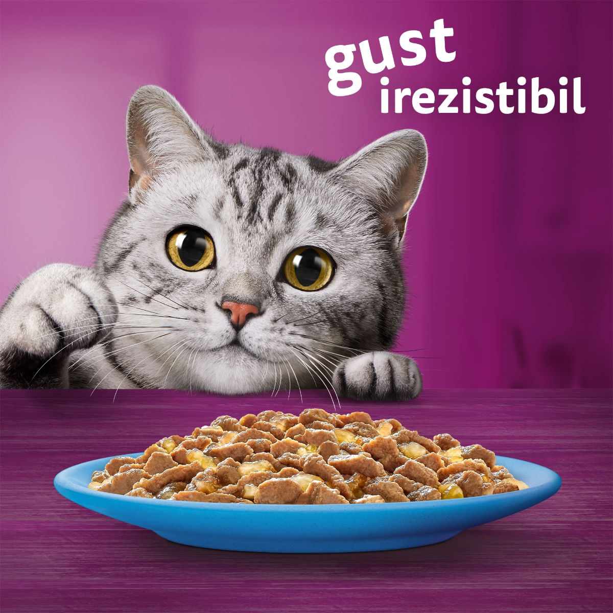 WHISKAS Selectii, Pește, plic hrană umedă pisici, (în aspic), multipack, 85g x 12