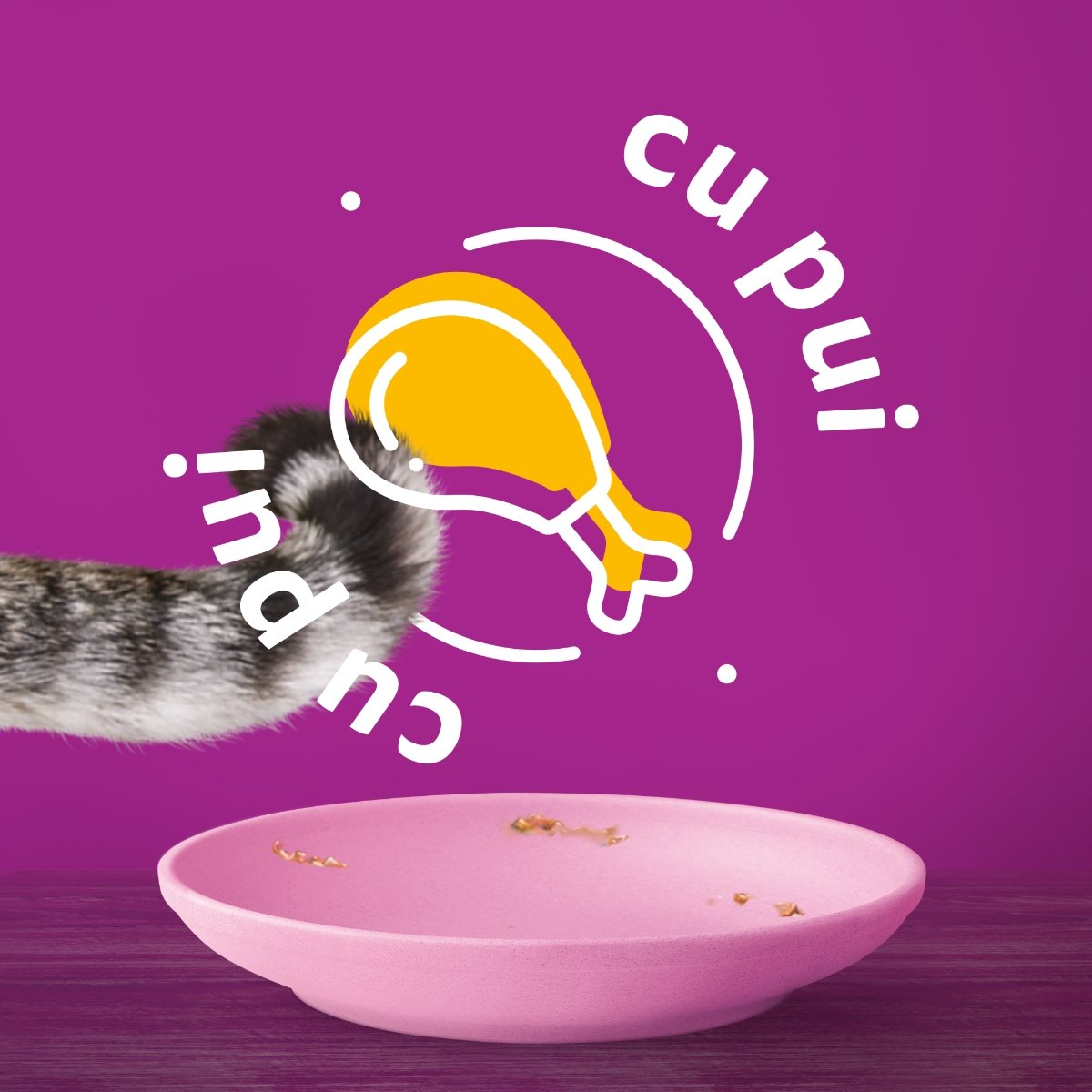 WHISKAS Junior, Pui, plic hrană umedă pisici junior, (în aspic), 85g - 3 | YEO