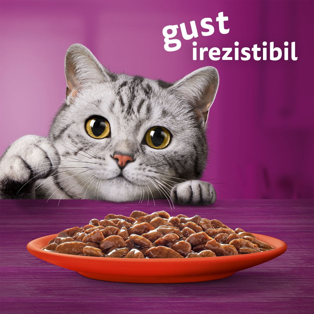 WHISKAS Selectii Clasice, Miel, Vită, Pui și Pasăre, hrană umedă pisici, (în sos), multipack WHISKAS Selectii Clasice, Miel, Vită, Pui și Pasăre, plic hrană umedă pisici, (în sos), multipack, 85g x 40