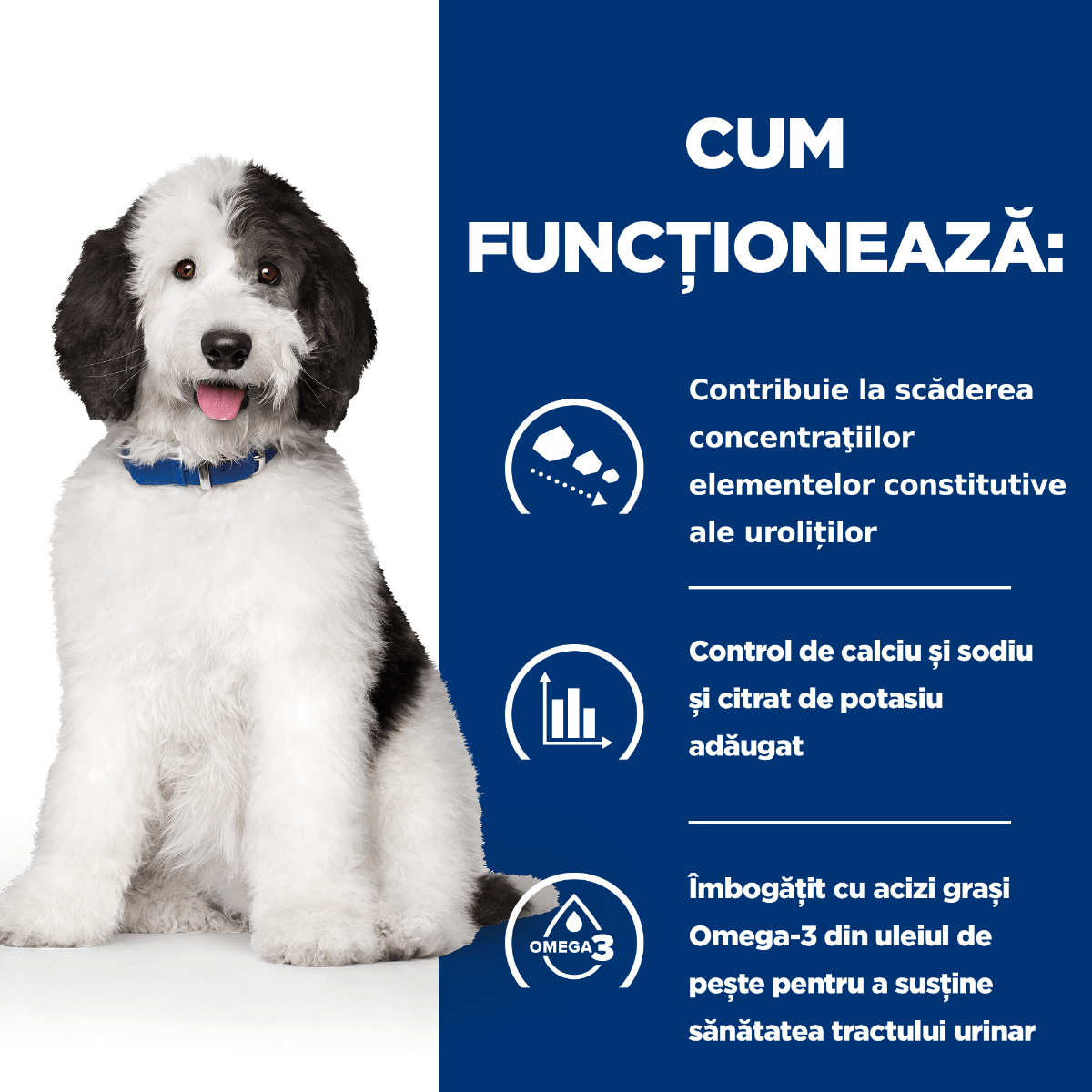 HILL&#039;S Prescription Diet c/d + Weight Care, Pui cu Legume, dietă veterinară câini, conservă hrană umedă, sistem urinar și controlul greutății, 156g