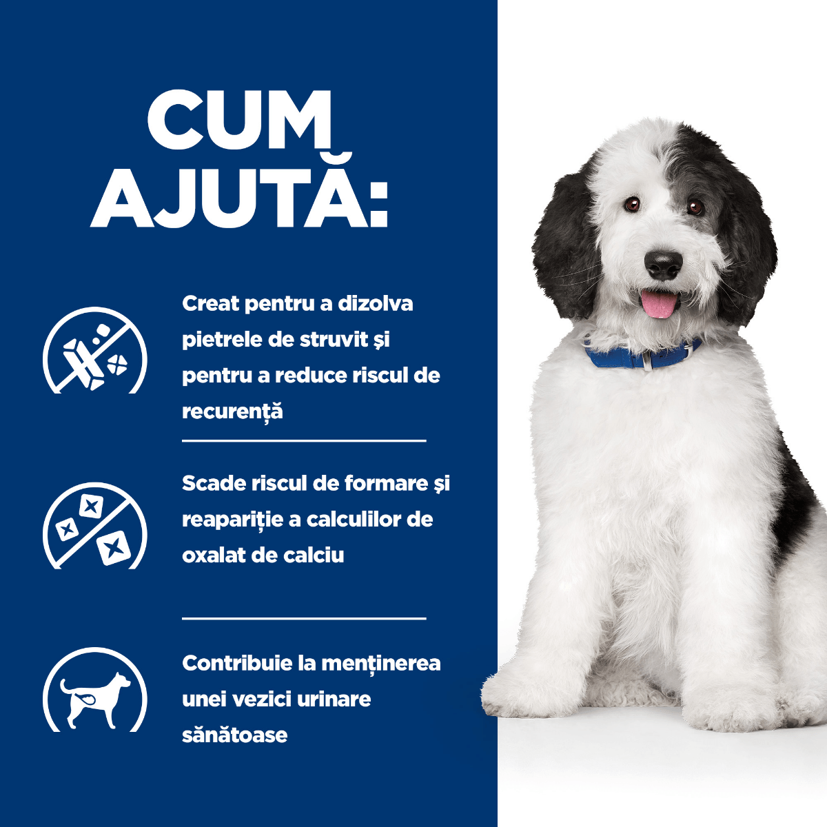 HILL&#039;S Prescription Diet c/d, Pui, dietă veterinară câini, conservă hrană umedă, sistem urinar, 370g