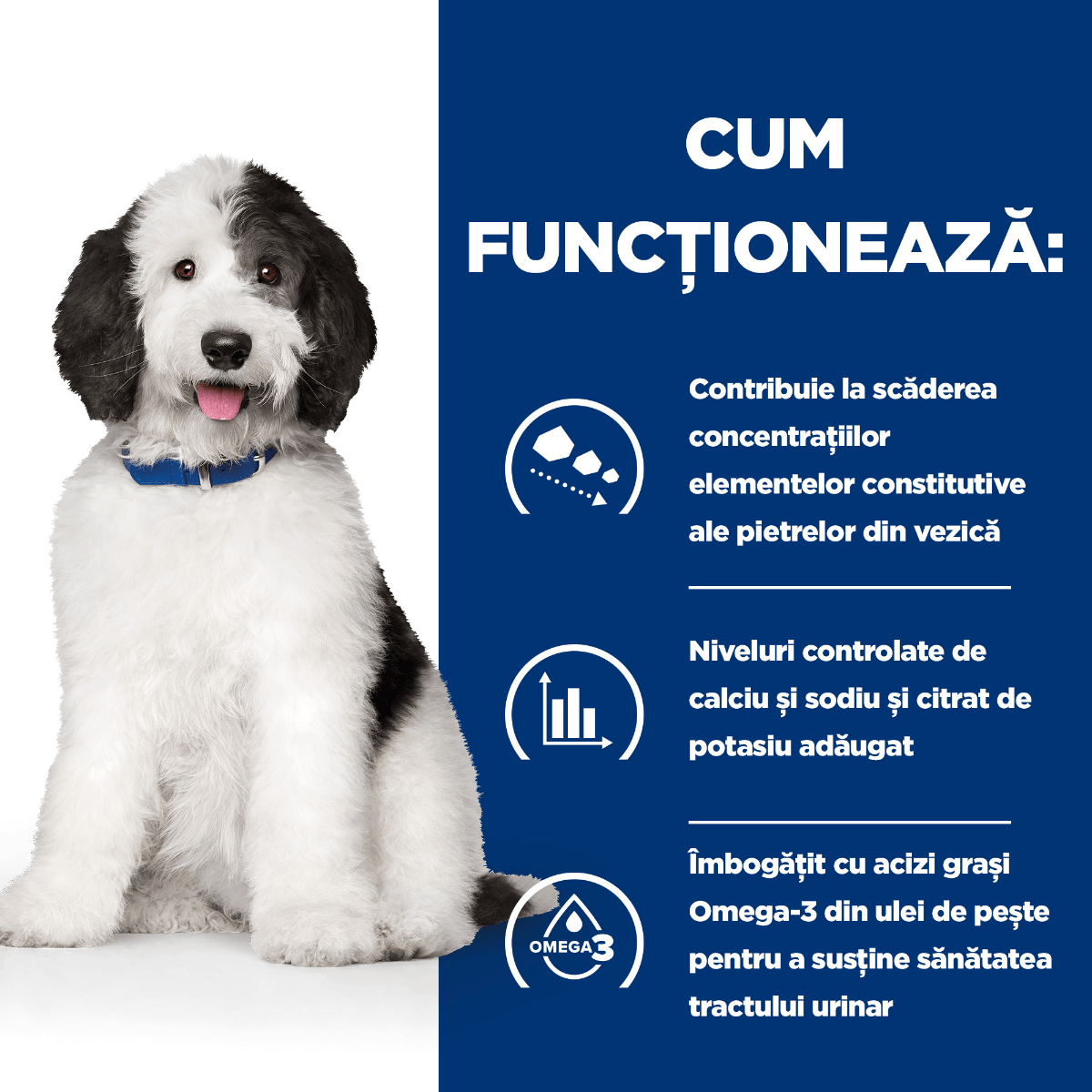 HILL&#039;S Prescription Diet c/d, Pui, dietă veterinară câini, conservă hrană umedă, sistem urinar, 370g