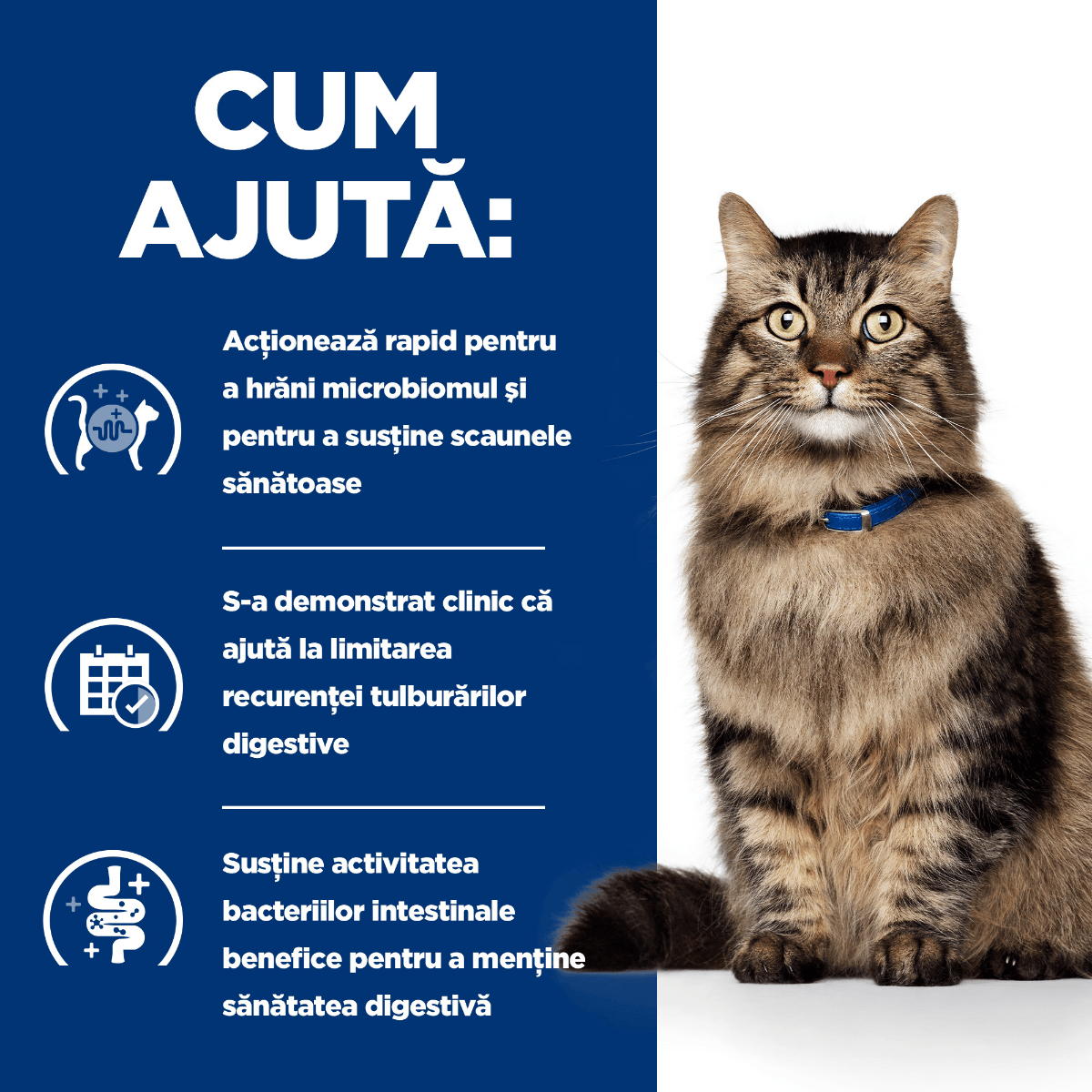 HILL\'S Prescription Diet Gastrointestinal Biome Pui, dietă veterinară, plic hrană umedă pisici, sistem digestiv & probiotice, bax, 85g x 12buc - 2 | YEO