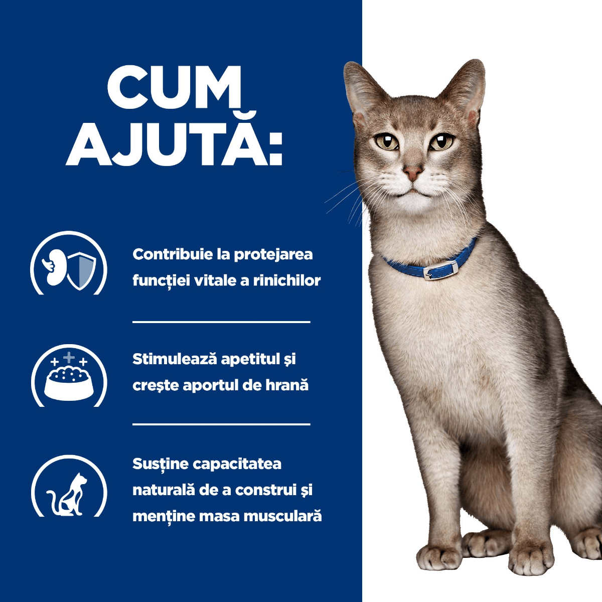 HILL&#039;S Prescription Diet k/d Kidney Care, Pui cu Legume, dietă veterinară pisici, conservă hrană umedă, afecțiuni renale, 82g