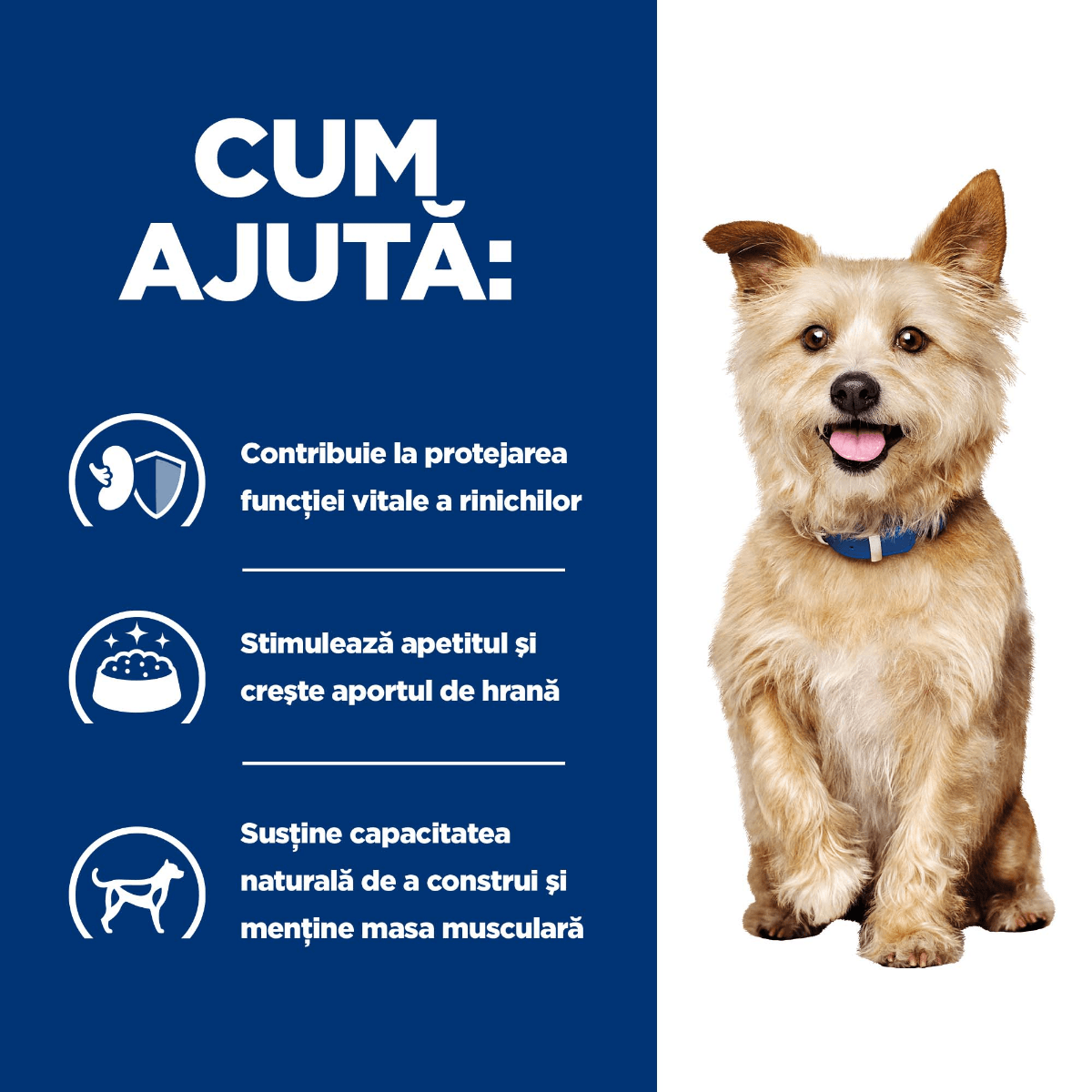 HILL&#039;S Prescription Diet k/d Kidney Care, Pui cu Legume, dietă veterinară câini, conservă hrană umedă, afecțiuni renale, 156g