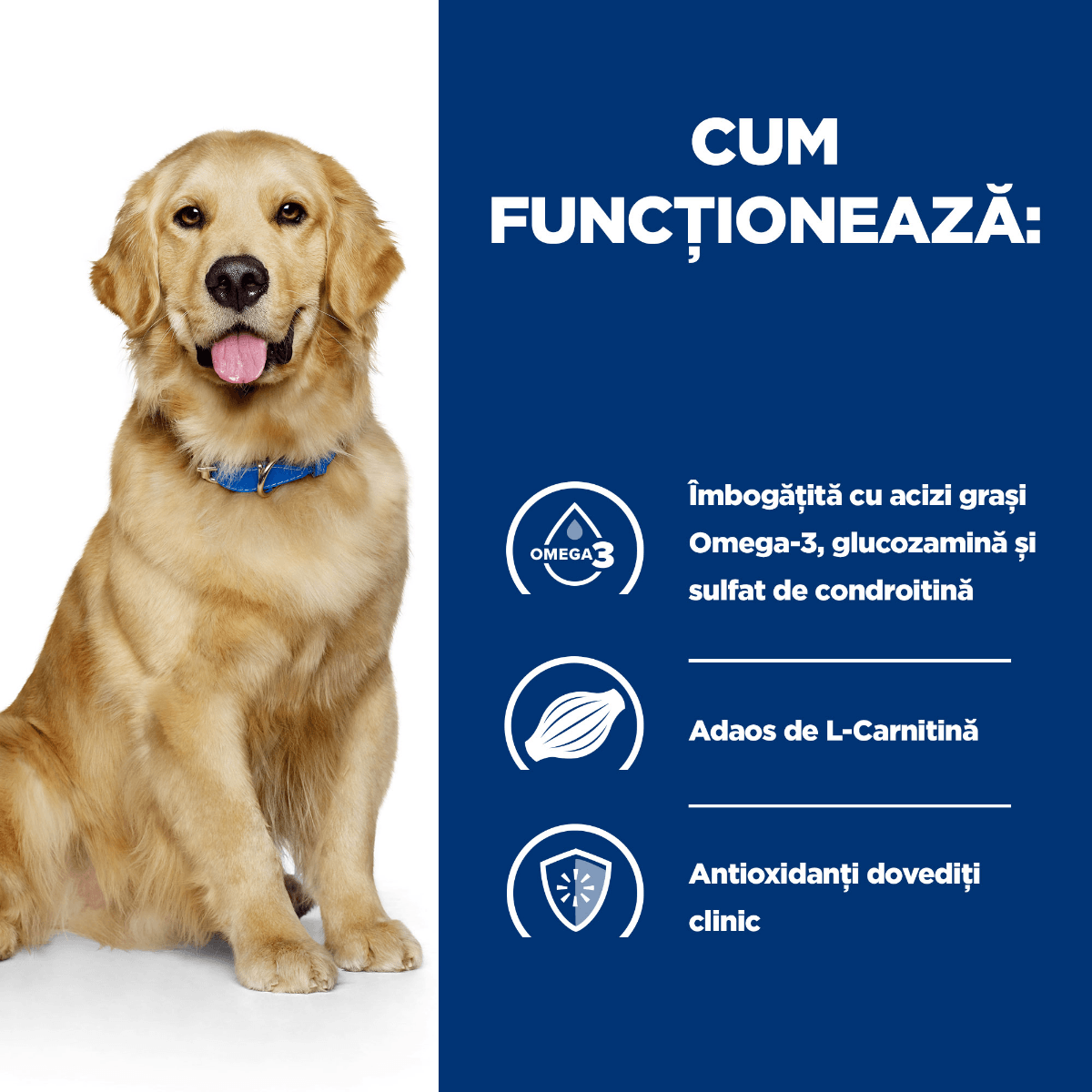 HILL&#039;S Prescription Diet j/d Mobility, Pui, dietă veterinară câini, conservă hrană umedă, afecțiuni articulare, 370g