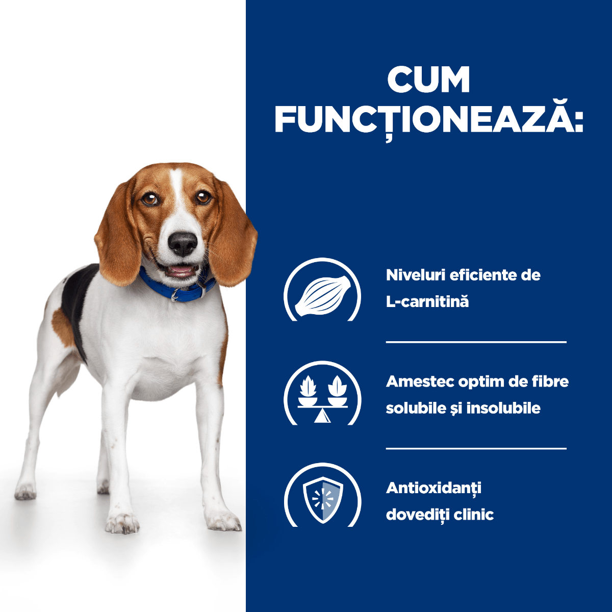 HILL&#039;S Prescription Diet r/d Weight Loss, Pui, dietă veterinară câini, conservă hrană umedă, scădere în greutate, 350g