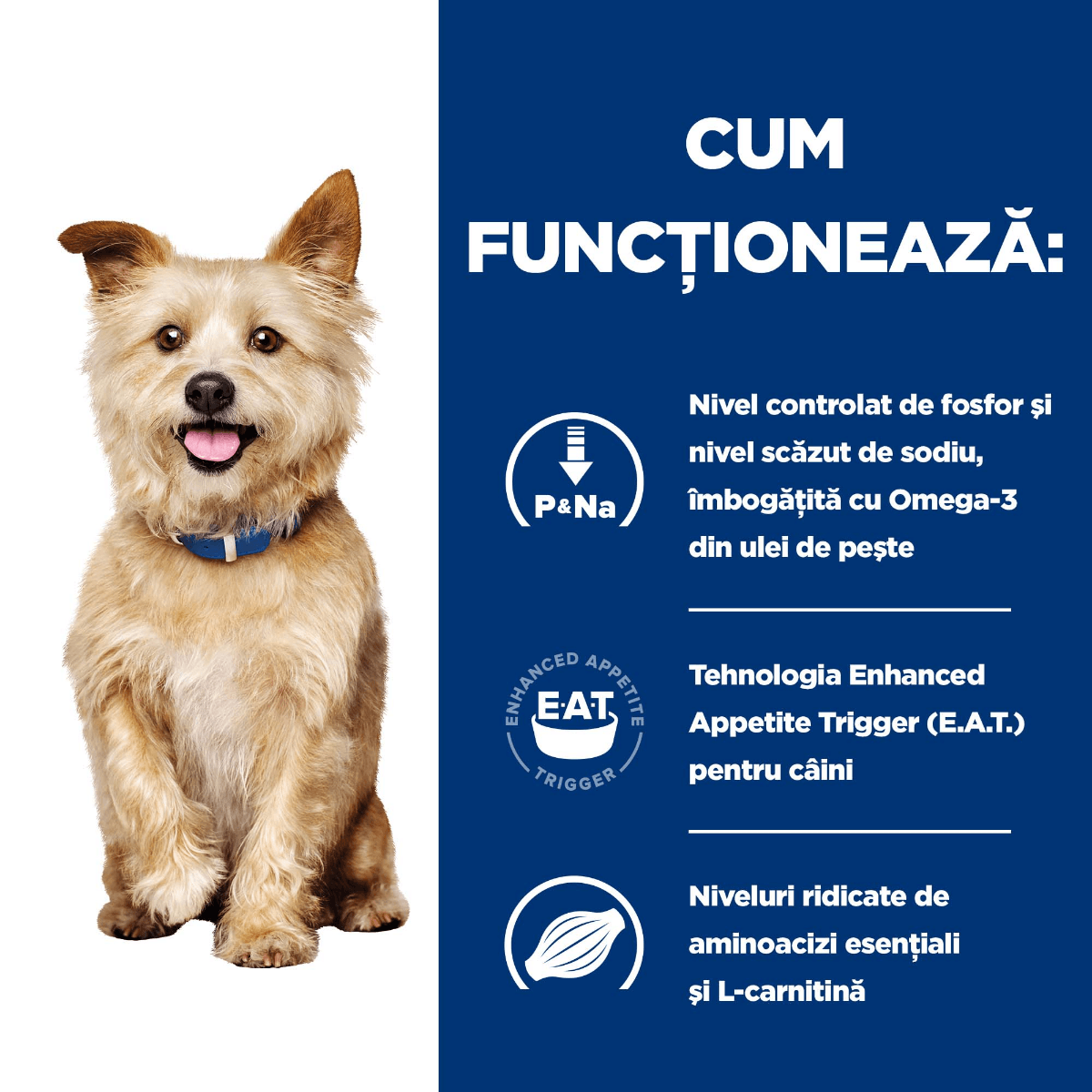 HILL&#039;S Prescription Diet k/d Kidney Care, Pui cu Legume, dietă veterinară câini, conservă hrană umedă, afecțiuni renale, 156g