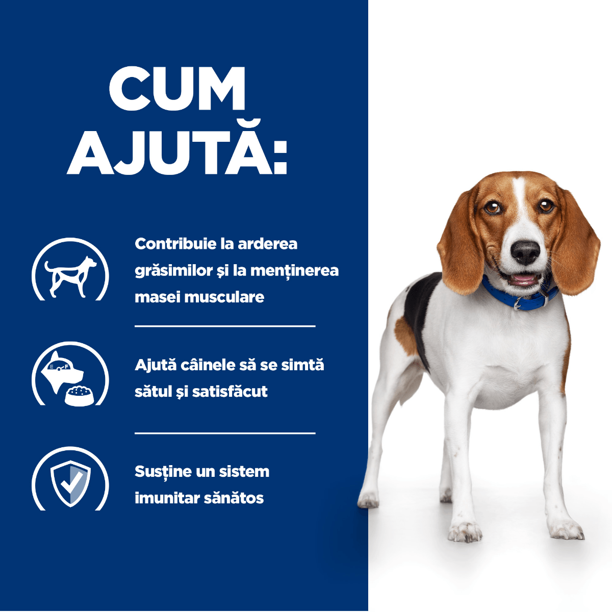 HILL&#039;S Prescription Diet r/d Weight Loss, Pui, dietă veterinară câini, conservă hrană umedă, scădere în greutate, 350g