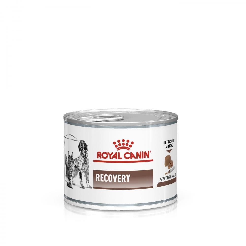 Royal Canin Recovery Canine/Feline, 195 g - 2 | YEO