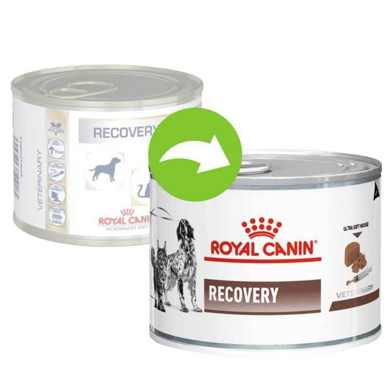 Royal Canin Recovery Canine/Feline, 195 g - 1 | YEO