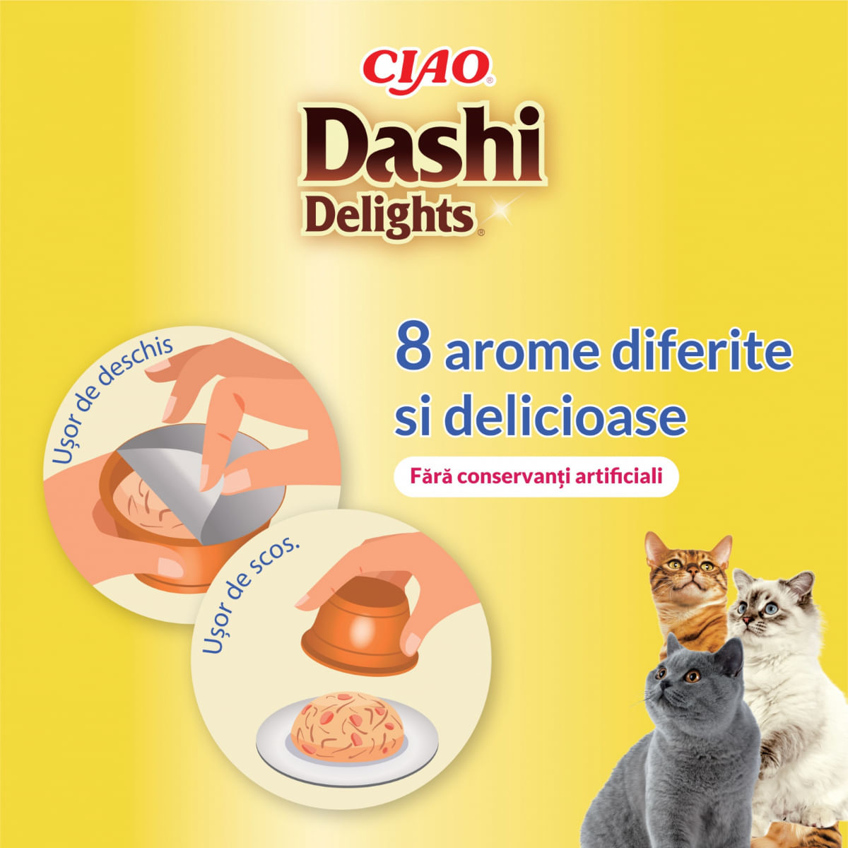 INABA Ciao Dashi, Pui și Fulgi de Bonito, bol hrană umedă fără cereale pisici, (în sos), 70g