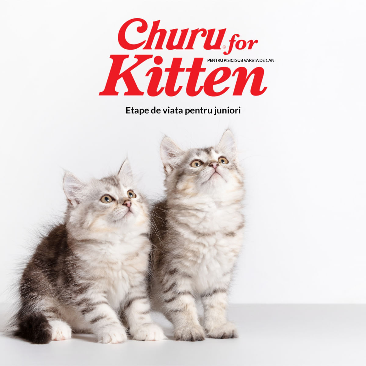 INABA Churu Kitten, Ton,, tub recompense fără cereale pisici junior, (piure) INABA Churu Kitten, Ton, plic, tub recompense fără cereale pisici junior, (piure), 56g