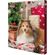 TRIXIE-Christmas-Advent-Calendar-XS-XL-cutie-recompense-caini-390g-1